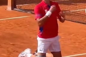 包含德约科维奇遭遇十五连败，塞尔维亚队教练面临压力！的词条